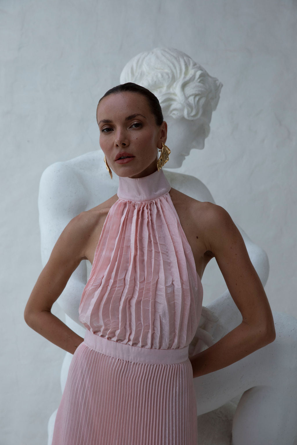 Eden Dress - Ballet Shimmer