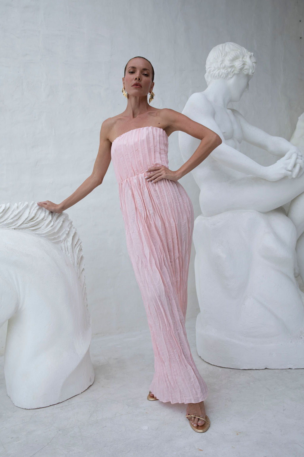 Florence Dress - Ballet Shimmer
